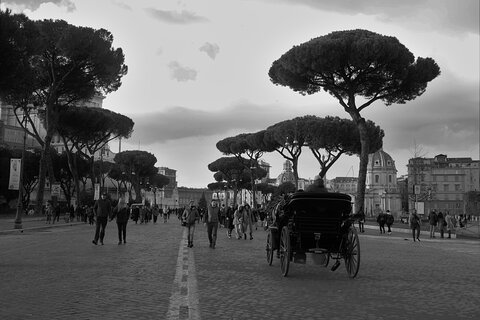 Colosseum, Roman Forum and Palatine Hill with Isuf